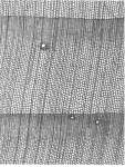 Dendrochronology: History, Developments and Methods.